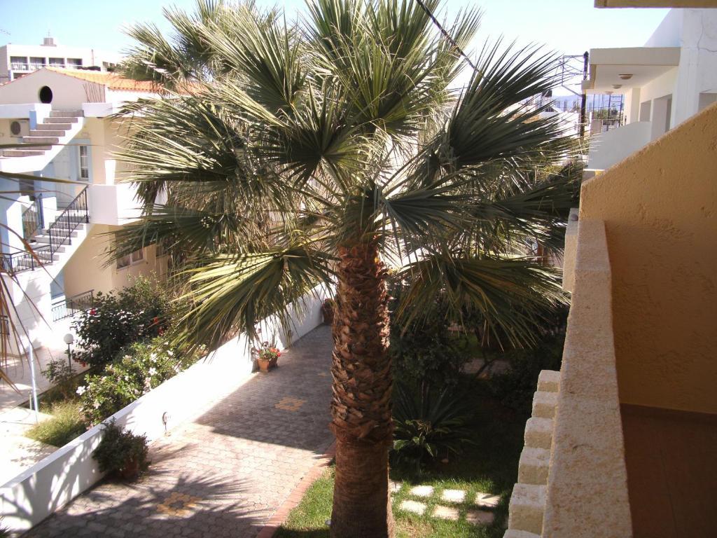 Lia Sofia Apartments Stalida Room photo